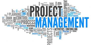 Project Management in Simple Words – Vol – I
